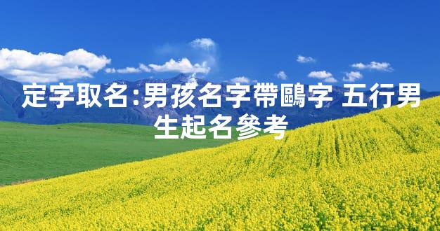 定字取名:男孩名字帶鷗字 五行男生起名參考